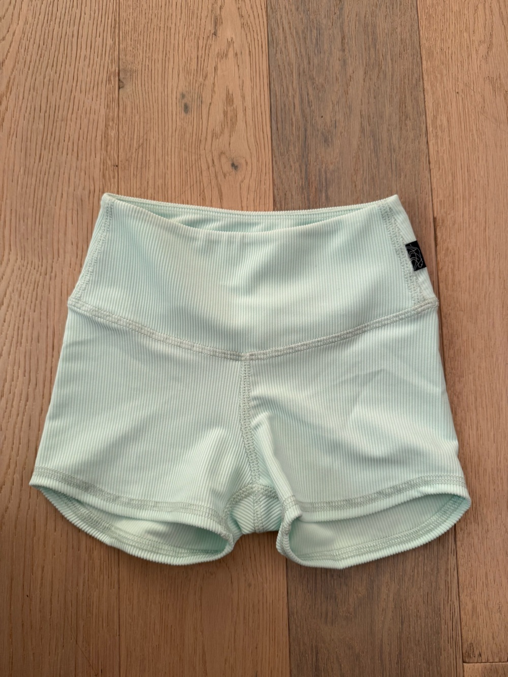 Tiger Friday CL Ruth High-Rise Mint Ribbed Shorts
